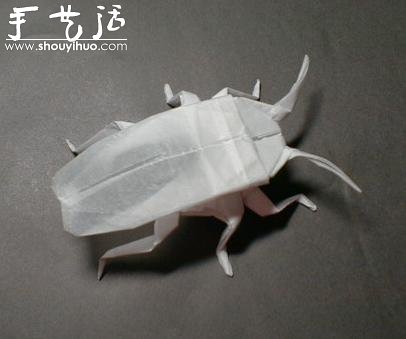 昆虫折纸作品欣赏(13)