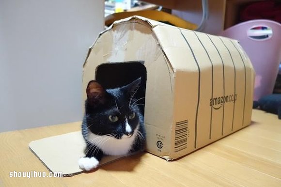 不要的纸箱废物利用diy制作可爱猫窝的方法